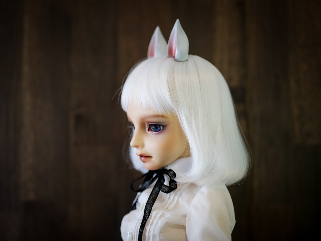 【終了】馬耳 (白毛)