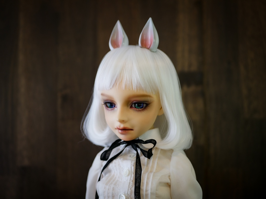 【終了】馬耳 (白毛)