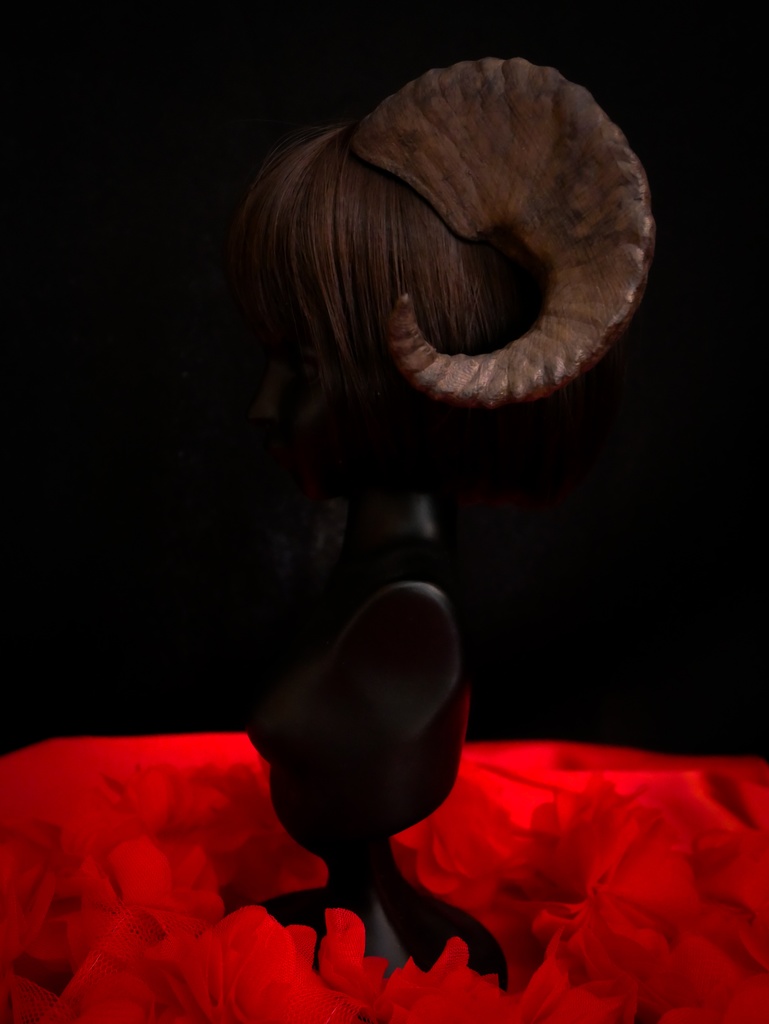 【SALE】羊角:カナデンシス 3種(60cmドール用)