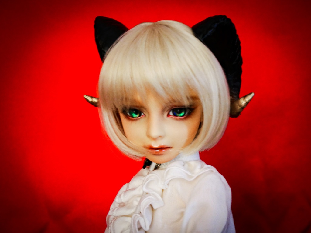 【SALE】羊角:カナデンシス 3種(60cmドール用)