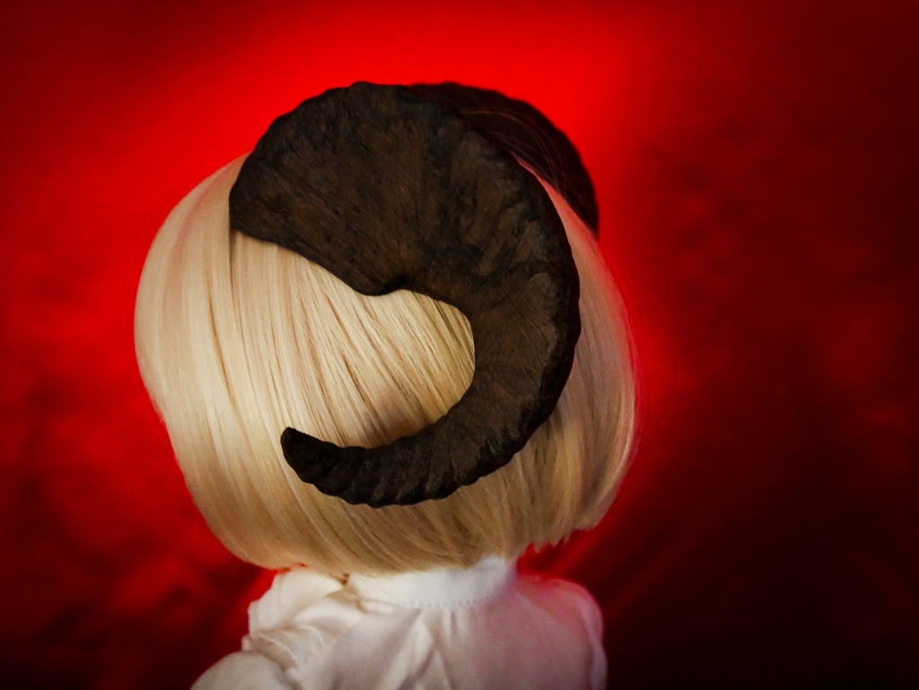 【SALE】羊角:カナデンシス 3種(60cmドール用)