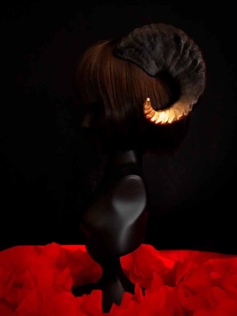 【SALE】羊角:カナデンシス 3種(60cmドール用)