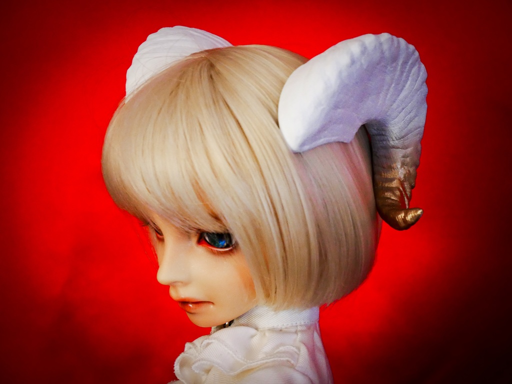 【SALE】羊角:カナデンシス 3種(60cmドール用)