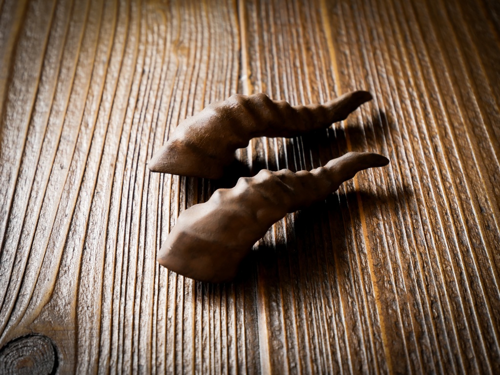 【終了】ミニ竜角 3種(40cmドール用)