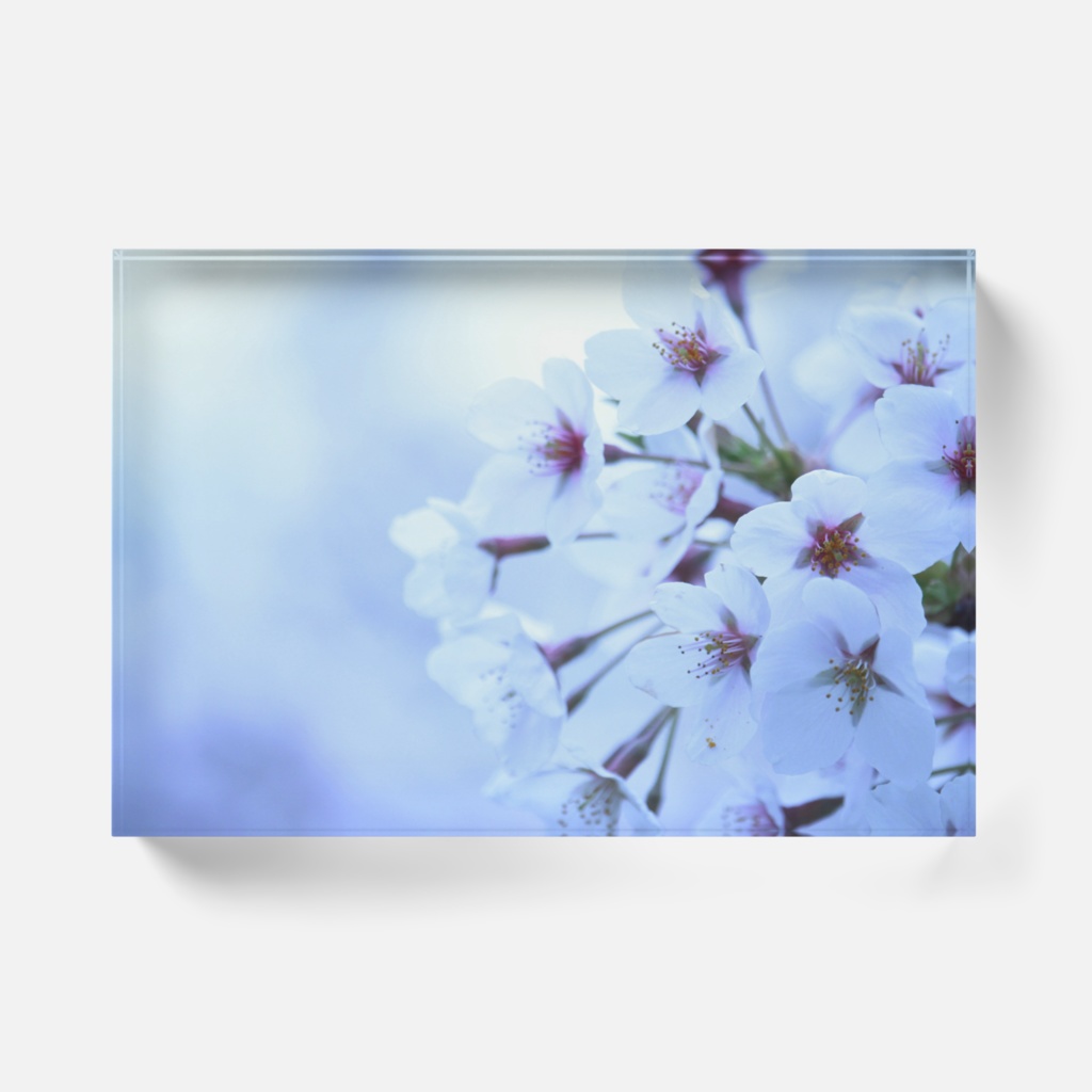 SAKUEA/アクリルブロック