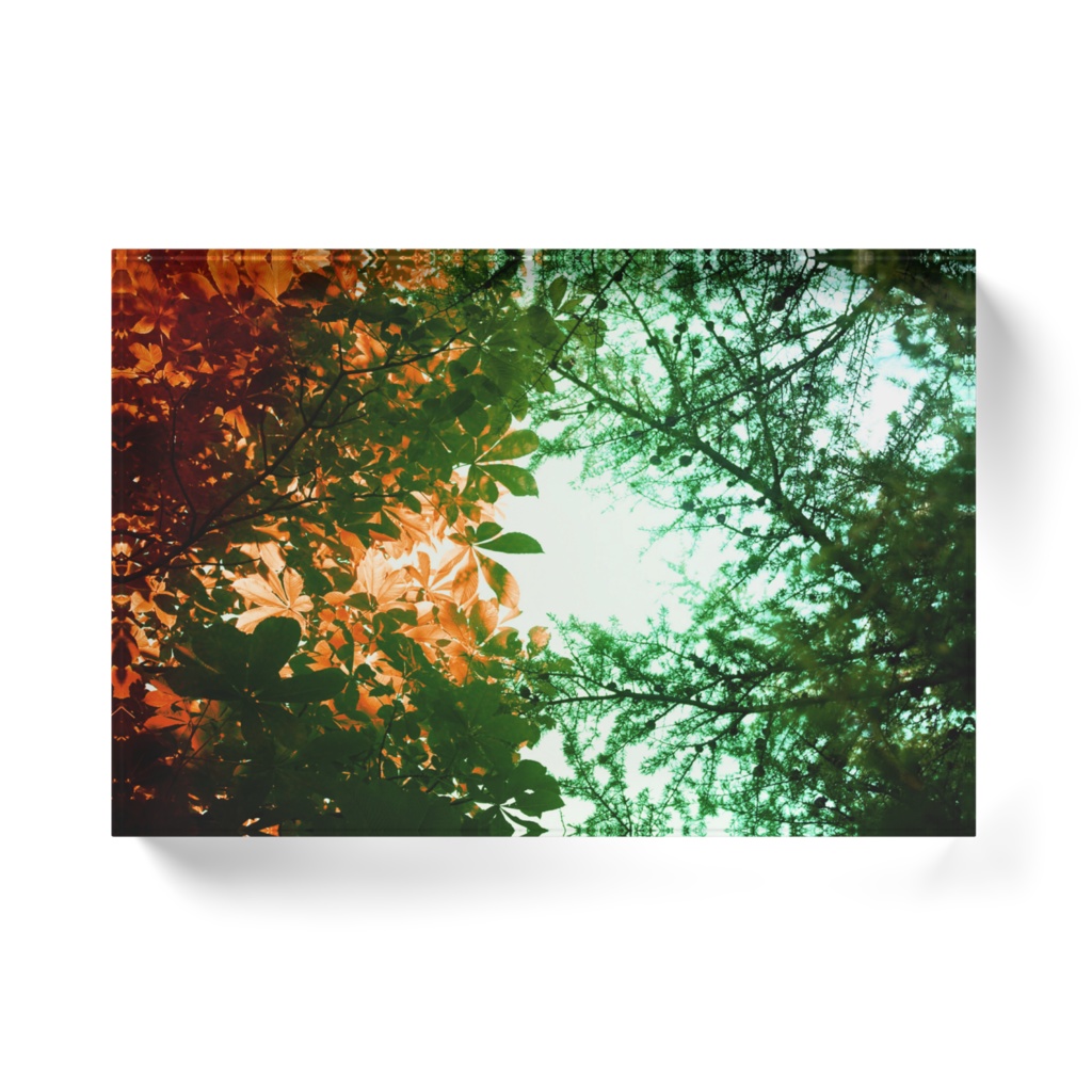 森/アクリルブロック