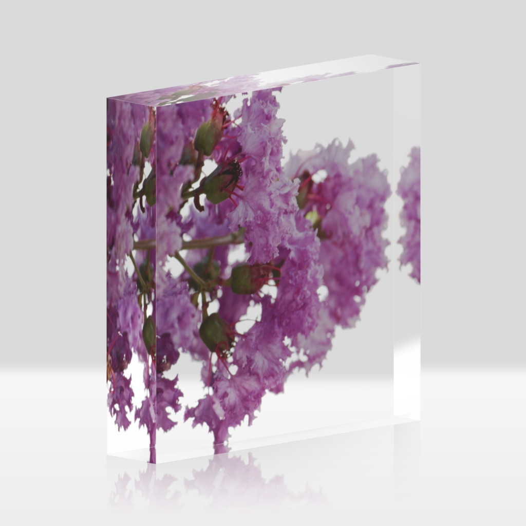 百日紅/アクリルブロック