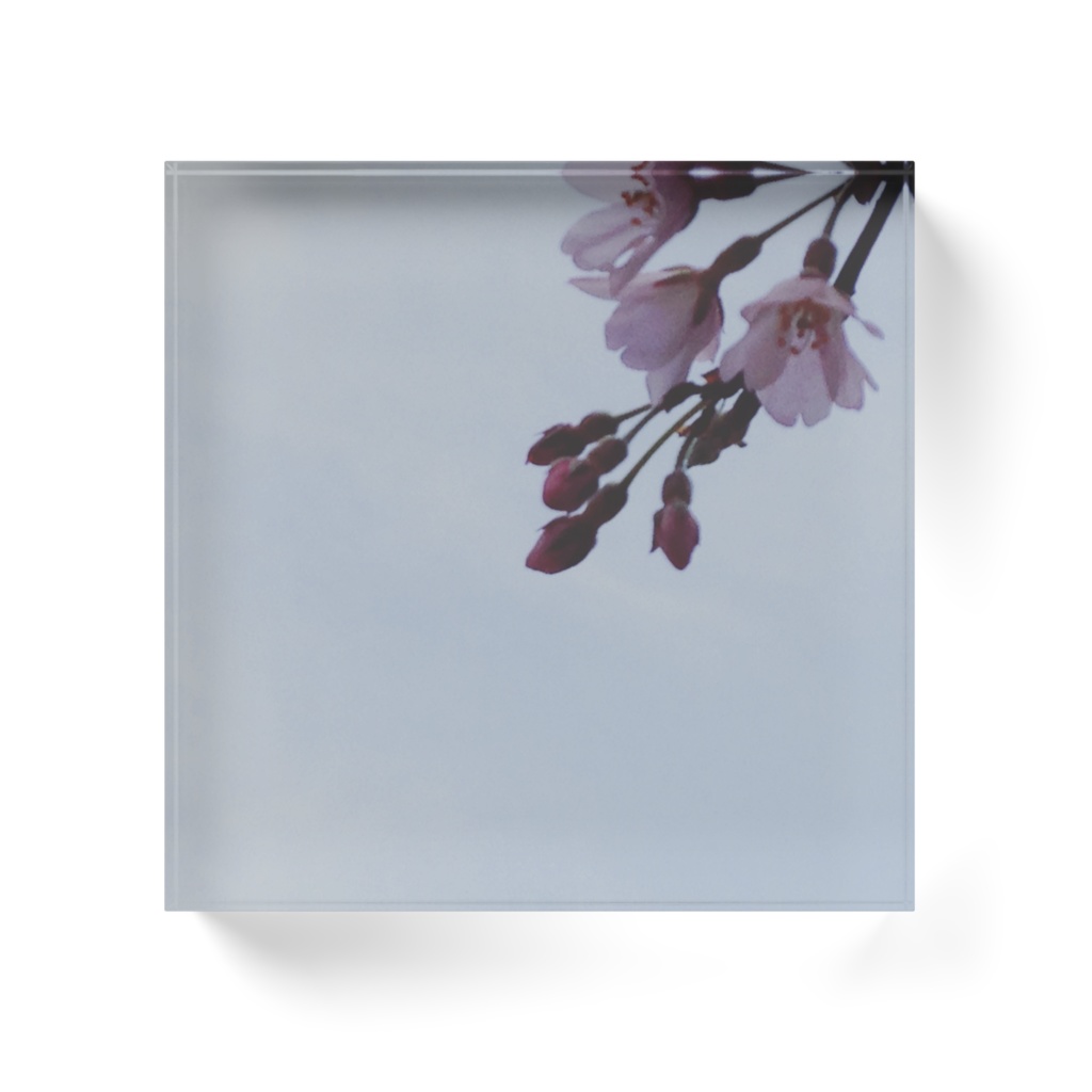 咲く。/アクリルブロック