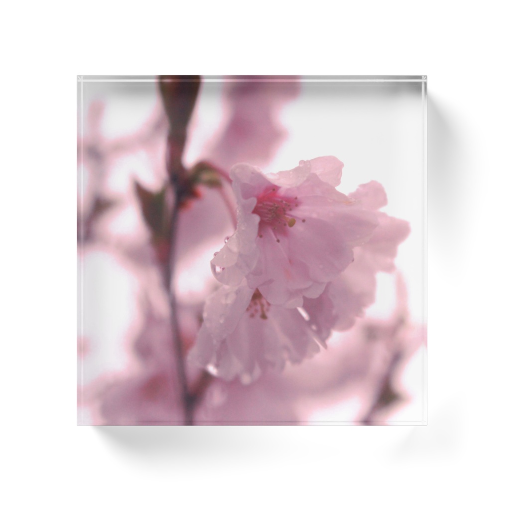 濡れる。/アクリルブロック