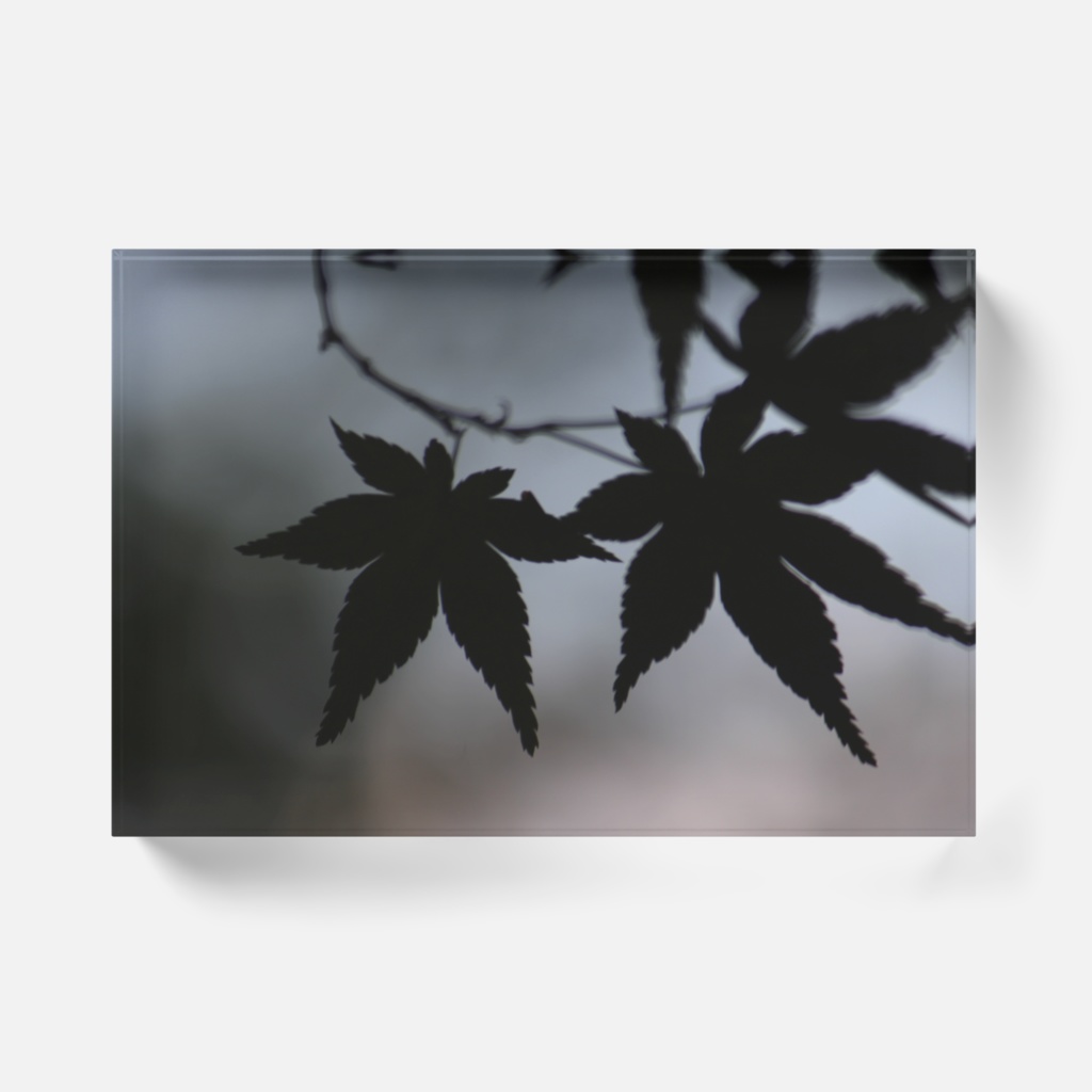 もみじ/アクリルブロック