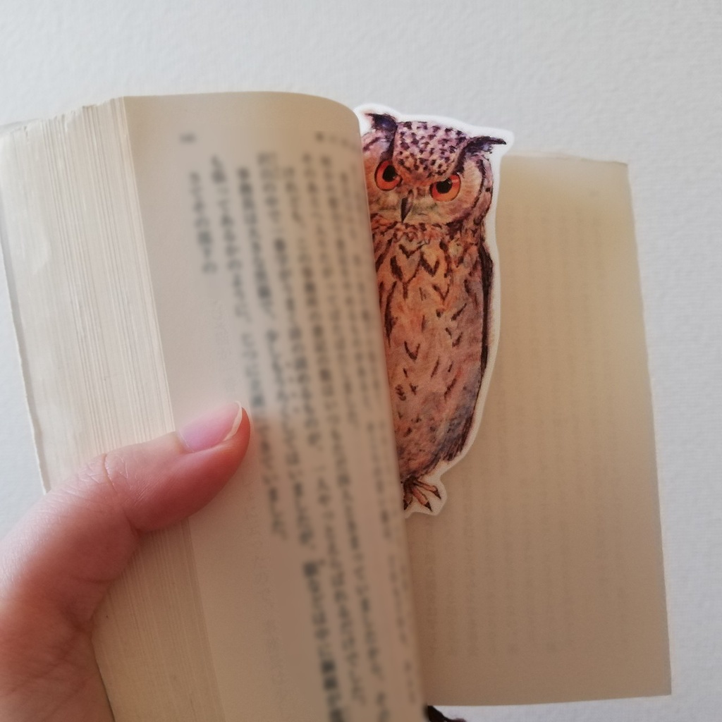 ベンガルワシミミズクの耐水・UVカットステッカー