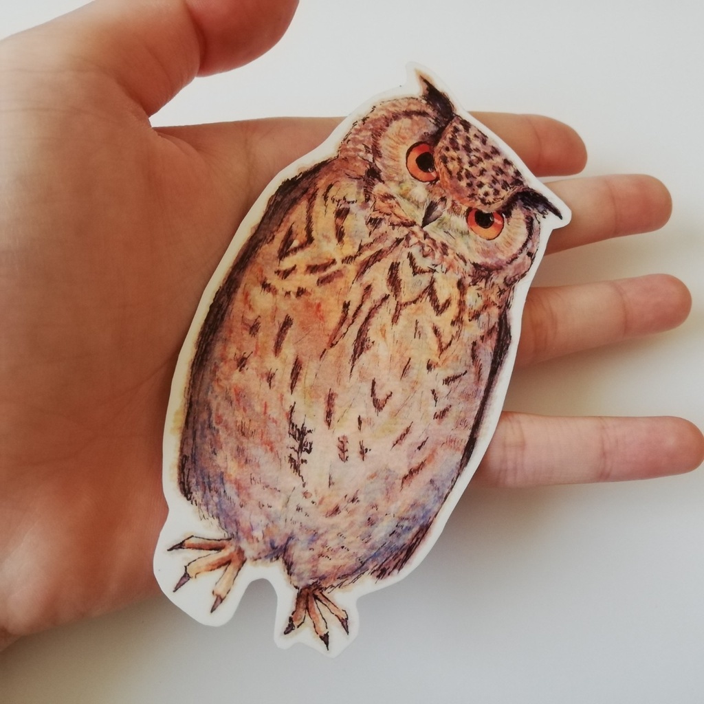 ベンガルワシミミズクの耐水・UVカットステッカー