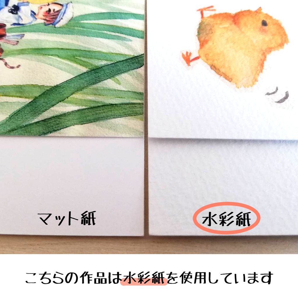 多肉植物とサボテンの植物図鑑風ポストカード