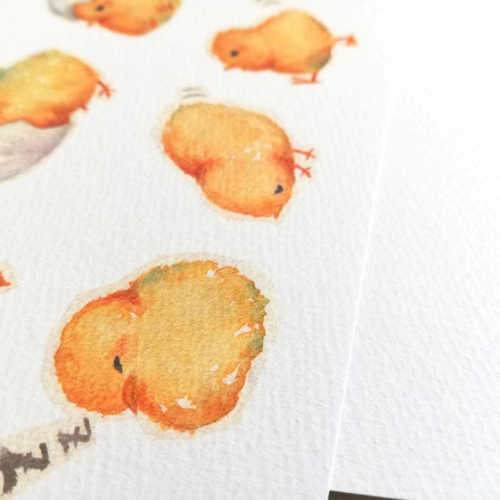 多肉植物とサボテンの植物図鑑風ポストカード