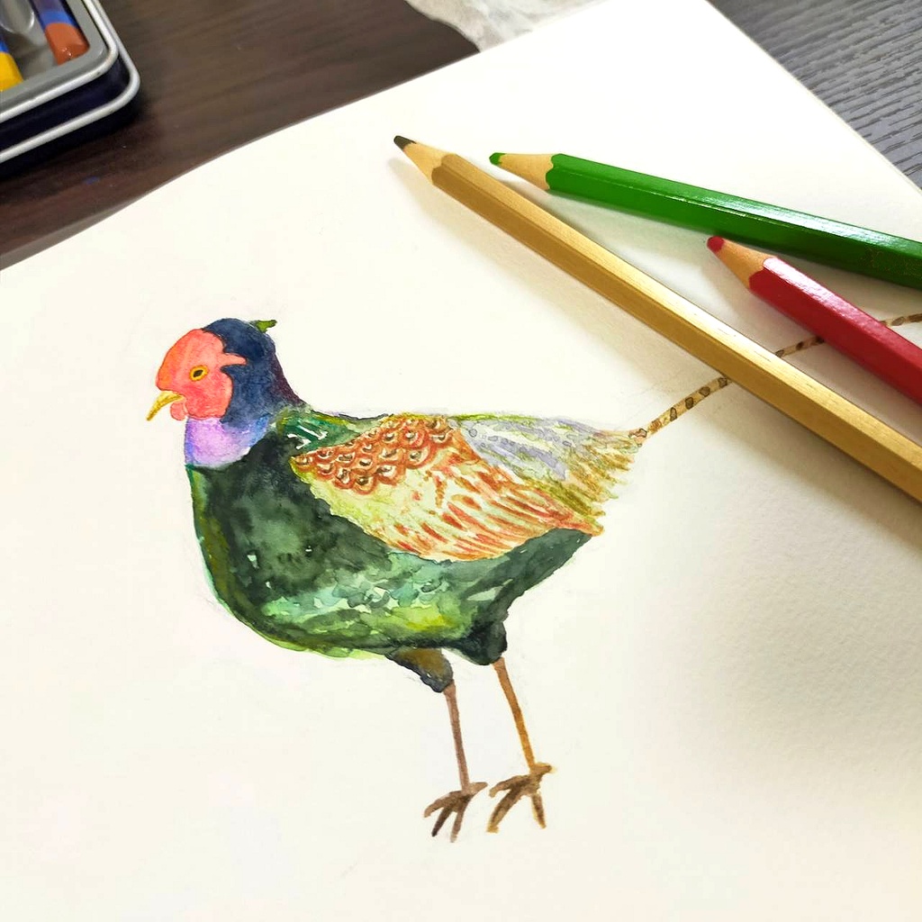 【選べる枚数22・44枚】日本の野鳥フレークシール全22種類 ミニサイズ