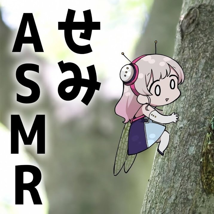 せみASMR音声データ！