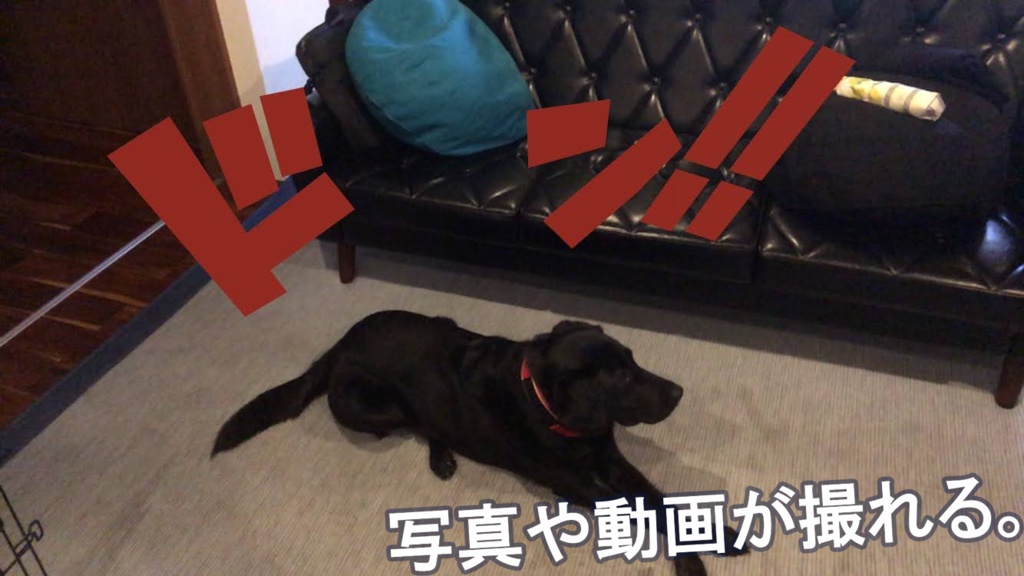 漫画風の効果音AR「ドン‼」