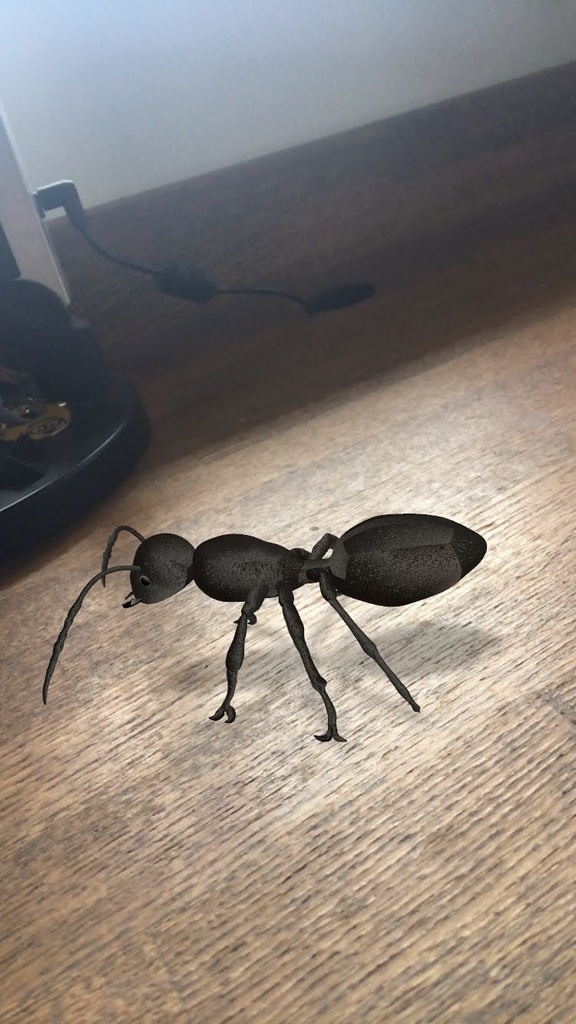 蟻のAR