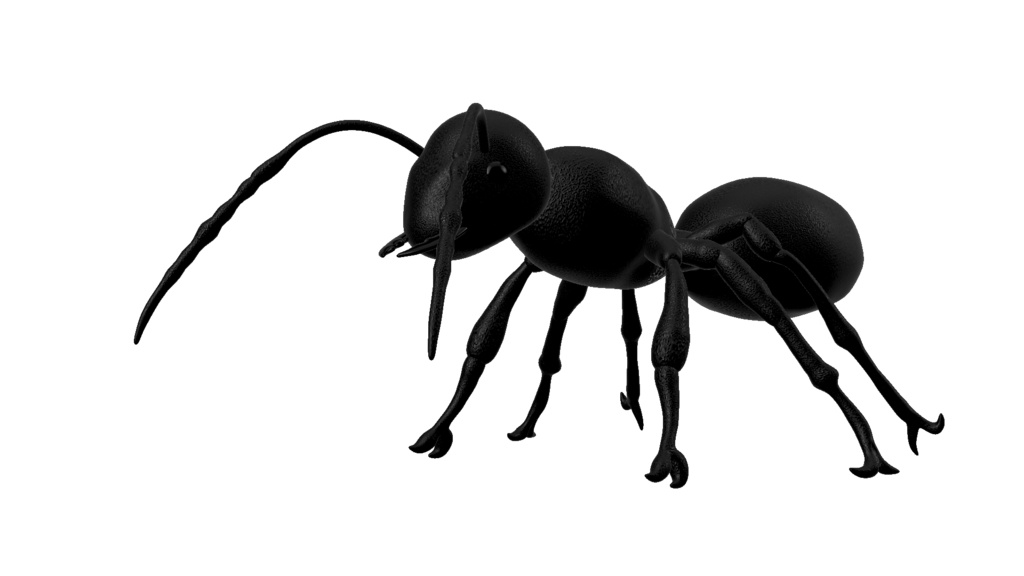 蟻のAR