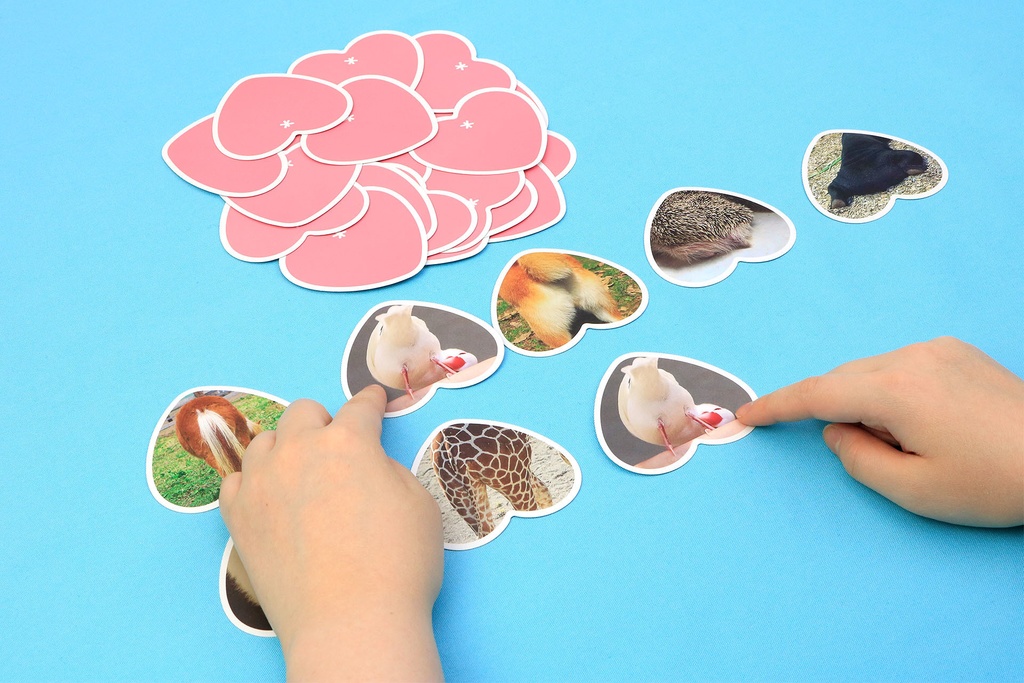 どうぶつのおしりCARD(カードゲーム)