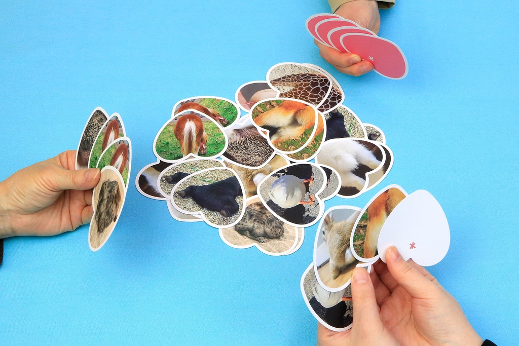 どうぶつのおしりCARD(カードゲーム)