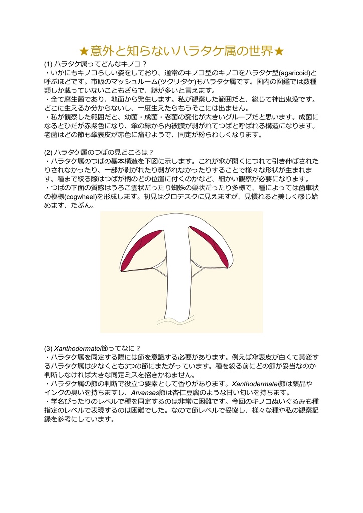 試作キノコぬいぐるみ_ハラタケ属Xanthodermatei節