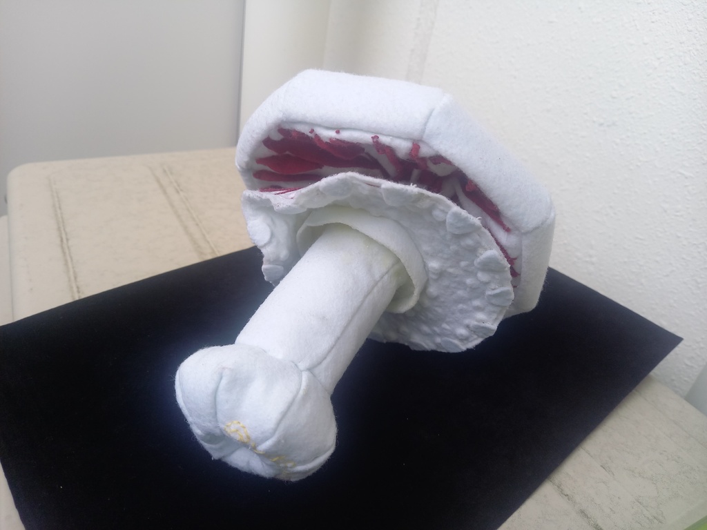 試作キノコぬいぐるみ_ハラタケ属Xanthodermatei節