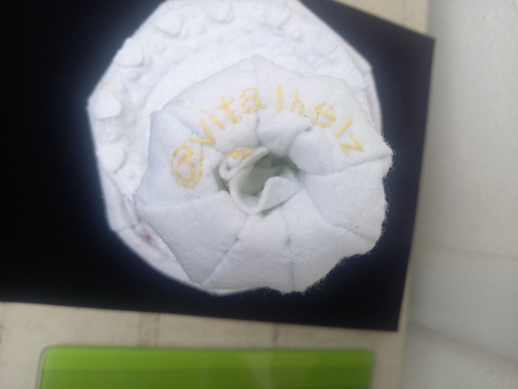 試作キノコぬいぐるみ_ハラタケ属Xanthodermatei節