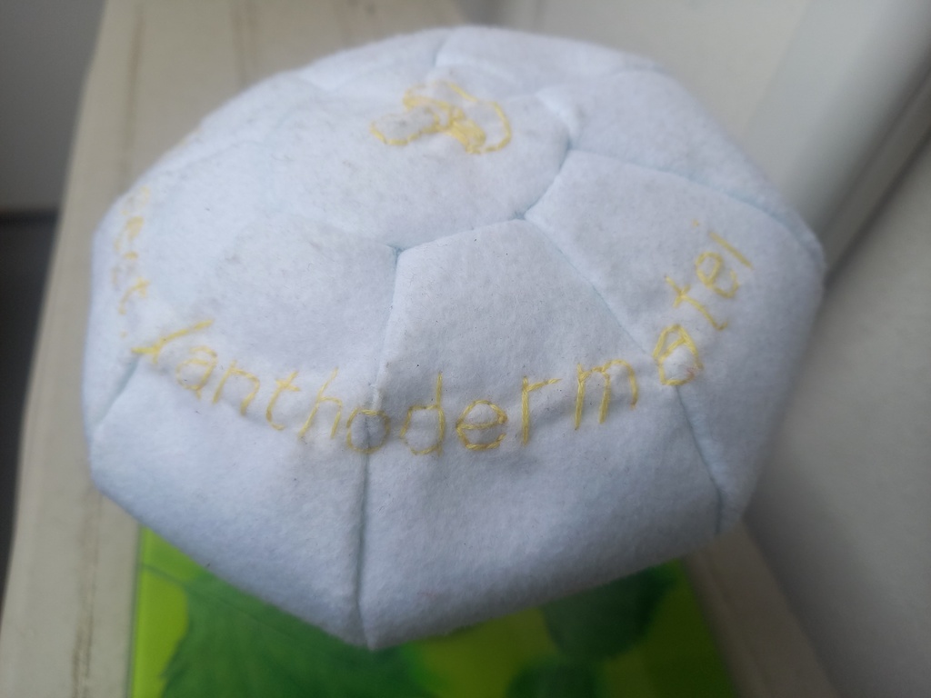 試作キノコぬいぐるみ_ハラタケ属Xanthodermatei節