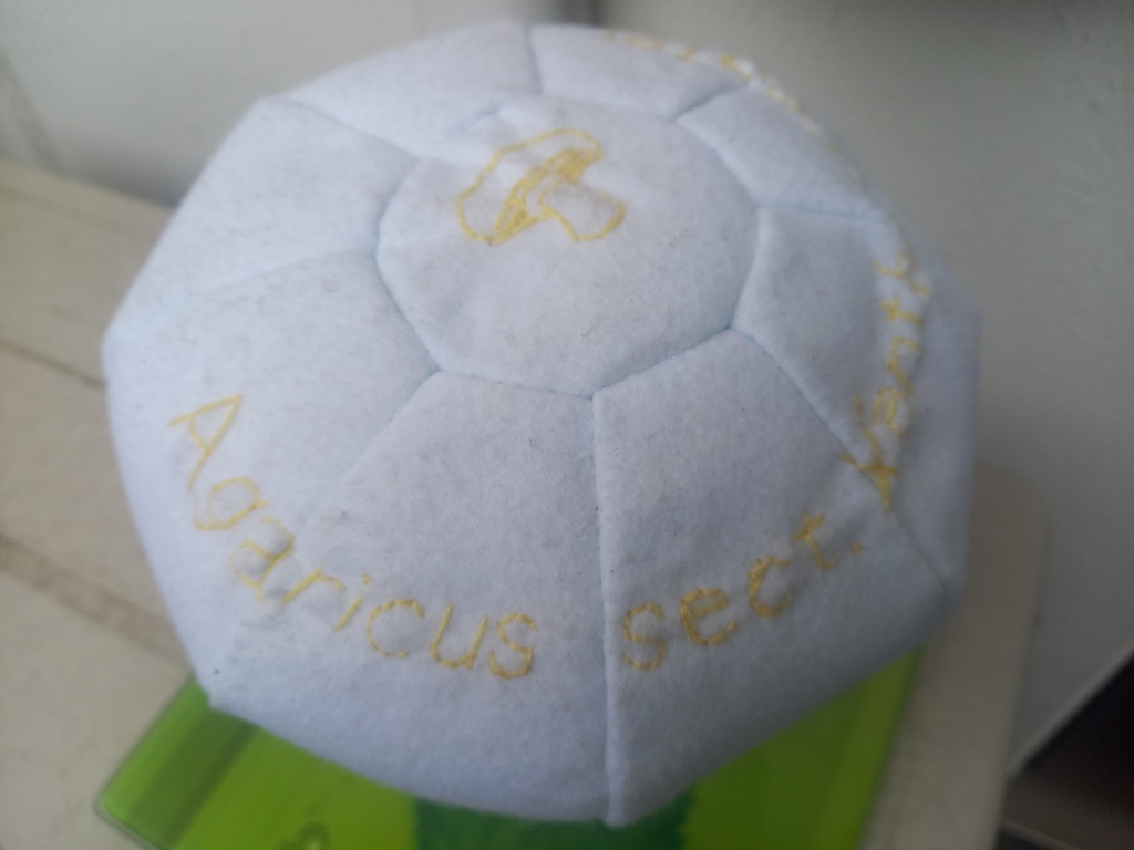 試作キノコぬいぐるみ_ハラタケ属Xanthodermatei節