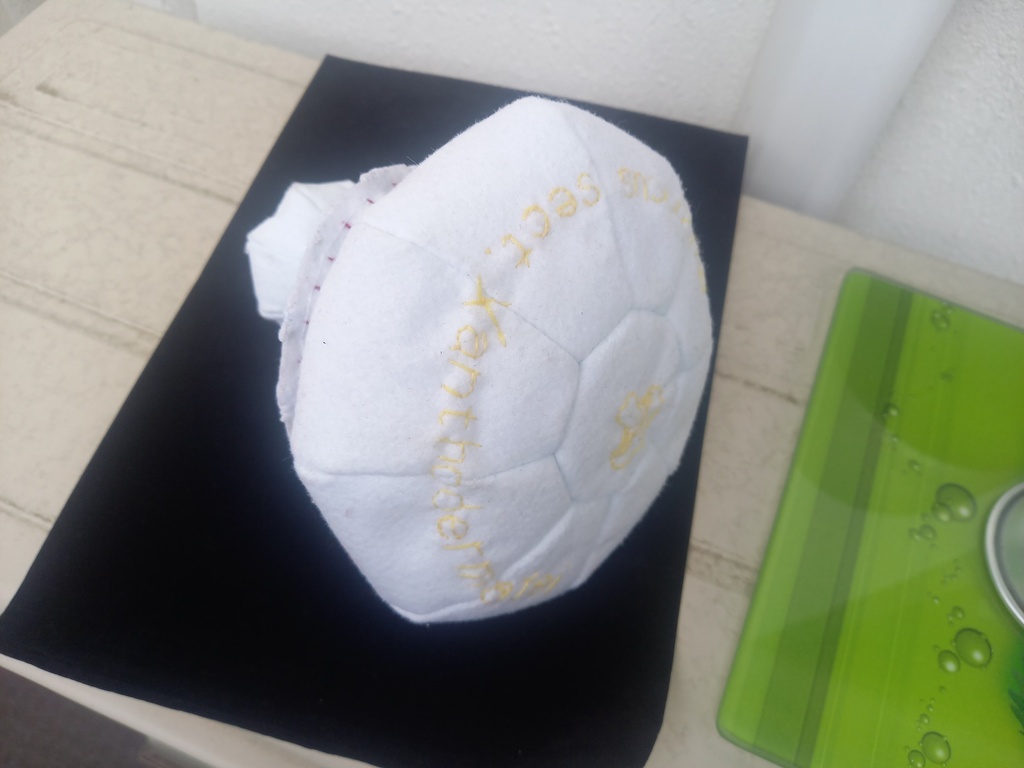 試作キノコぬいぐるみ_ハラタケ属Xanthodermatei節