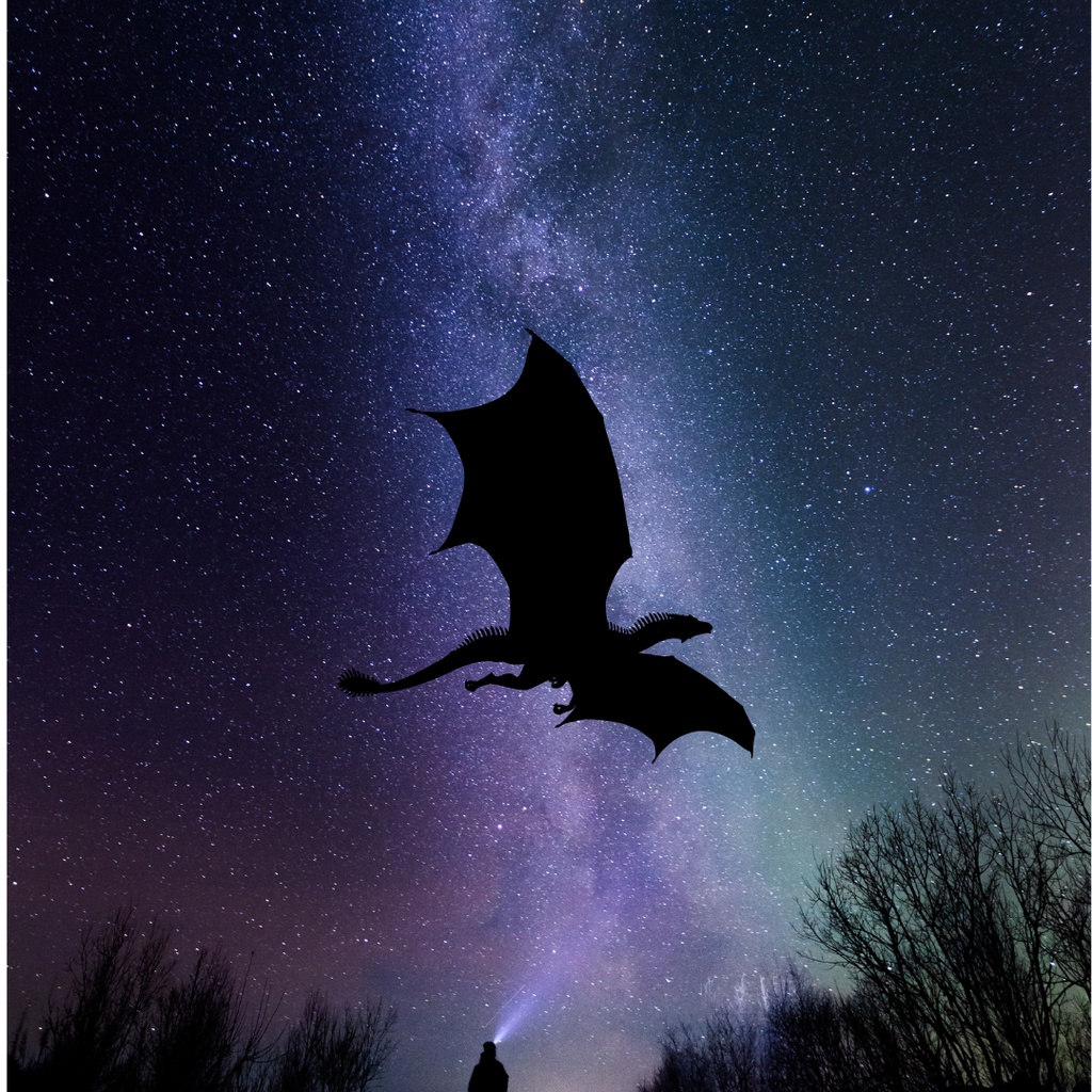 運気上昇龍クリップアート 55点セット(PNG)