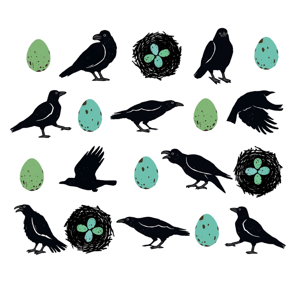 ハシボソガラス・ハシブトガラス【iPhone SE2・iPhone12対応】カラス・パターン・ホワイト 手帳型 スマホケース iPhone用【各機種あります】