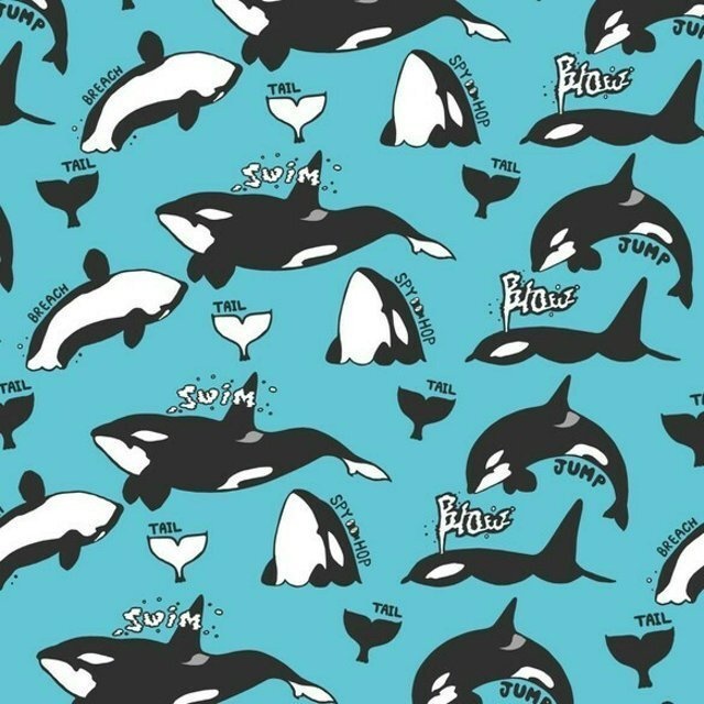 シャチ パターン ブルー スマホケース Xperia5 (SO-01M-SOV41)用【各機種制作中!】