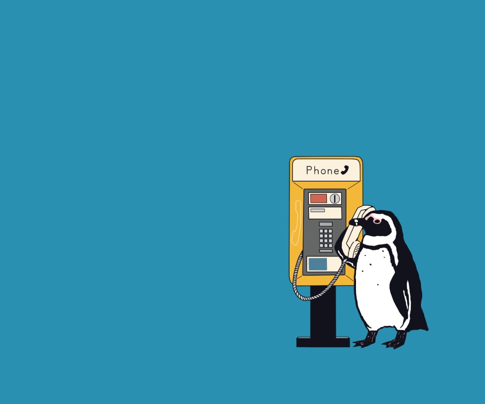 ペンギン【社員証入れ】ケープペンギン・パスケース【パスケース】