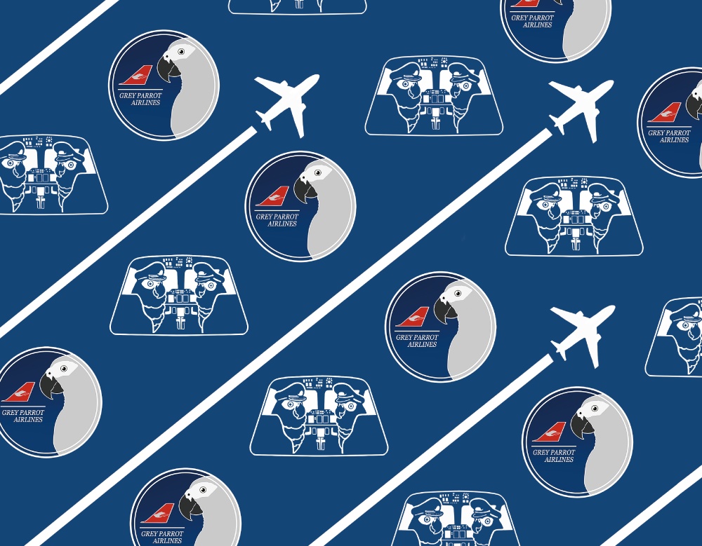 ヨウム【社員証入れ】ヨウムエアラインズ・ブルー・パスケース【パスケース】