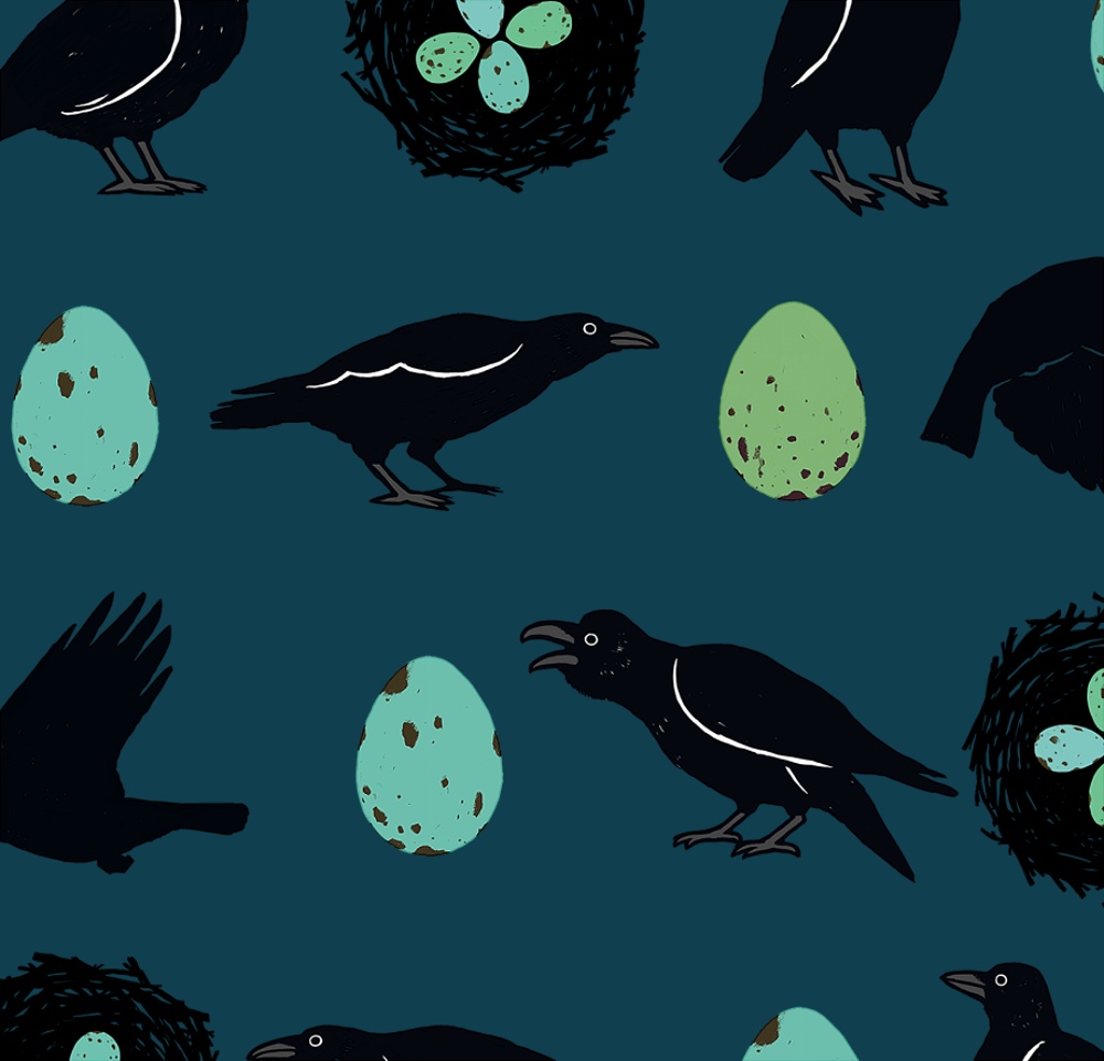 カラス【社員証入れ】カラス・パスケース ネイビー【パスケース】