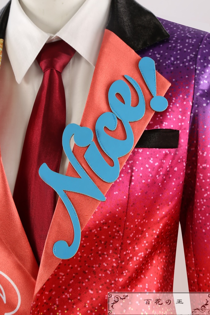 あんスタ ナイス・アルネブ・サンダー ないすあるねぶさんだー ナイスP コスプレ衣装 コスチューム