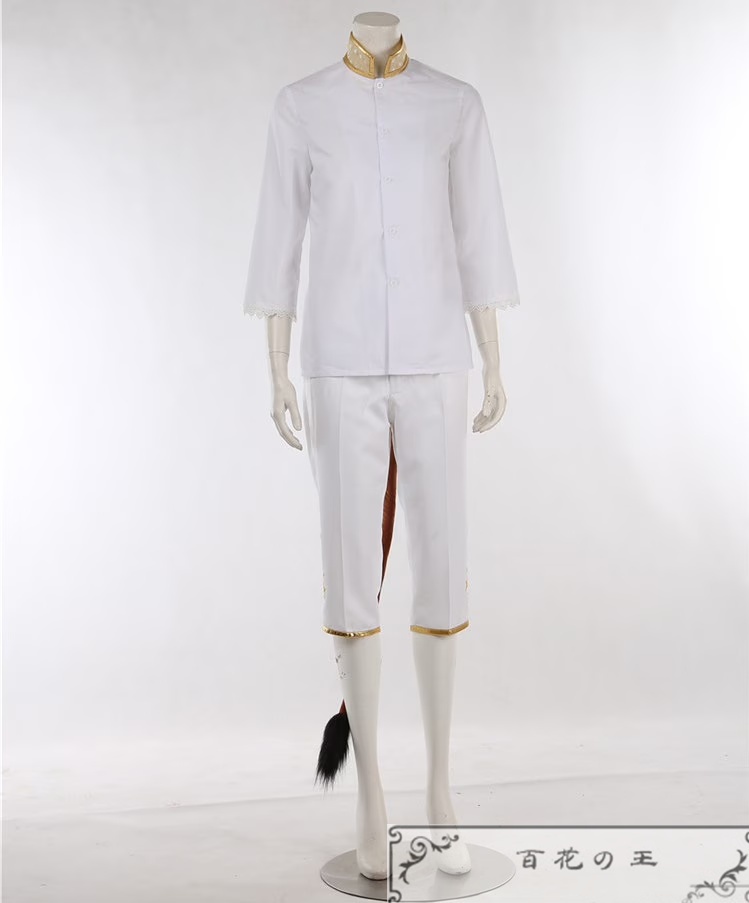 ツイステ 春を呼ぶ妖精たちの祝祭 レオナ 妖精 コスプレ衣装 コスチューム