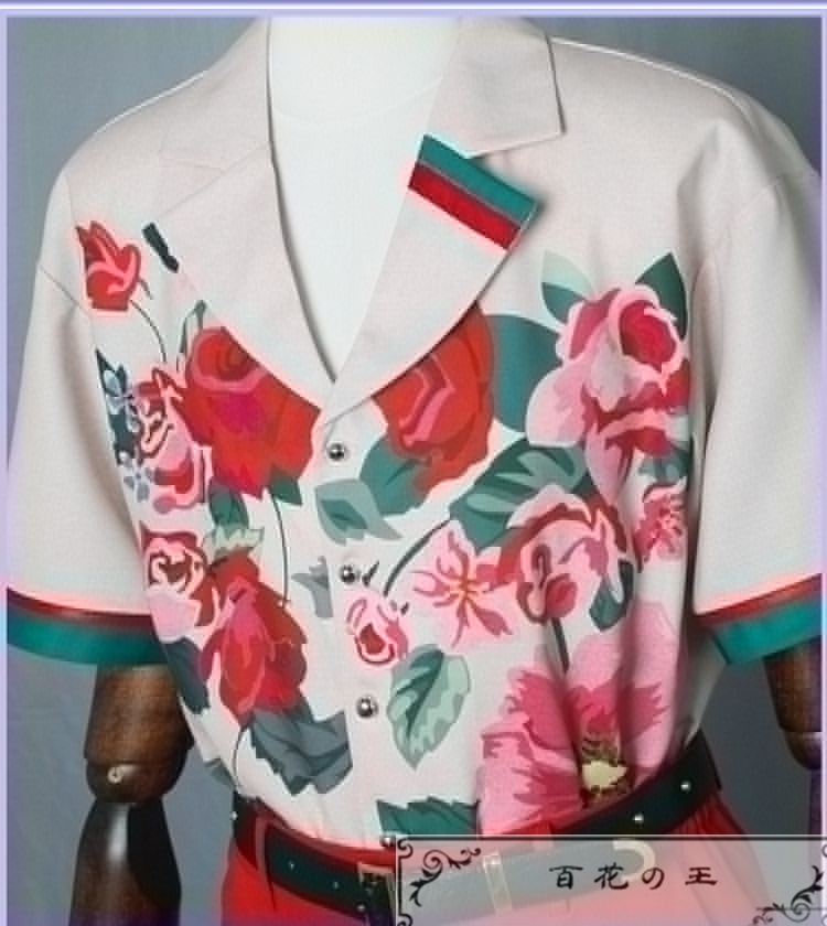 あんスタ 人と生きもの 日々樹渉 私服(春〜夏) コスプレ衣装 コスチューム