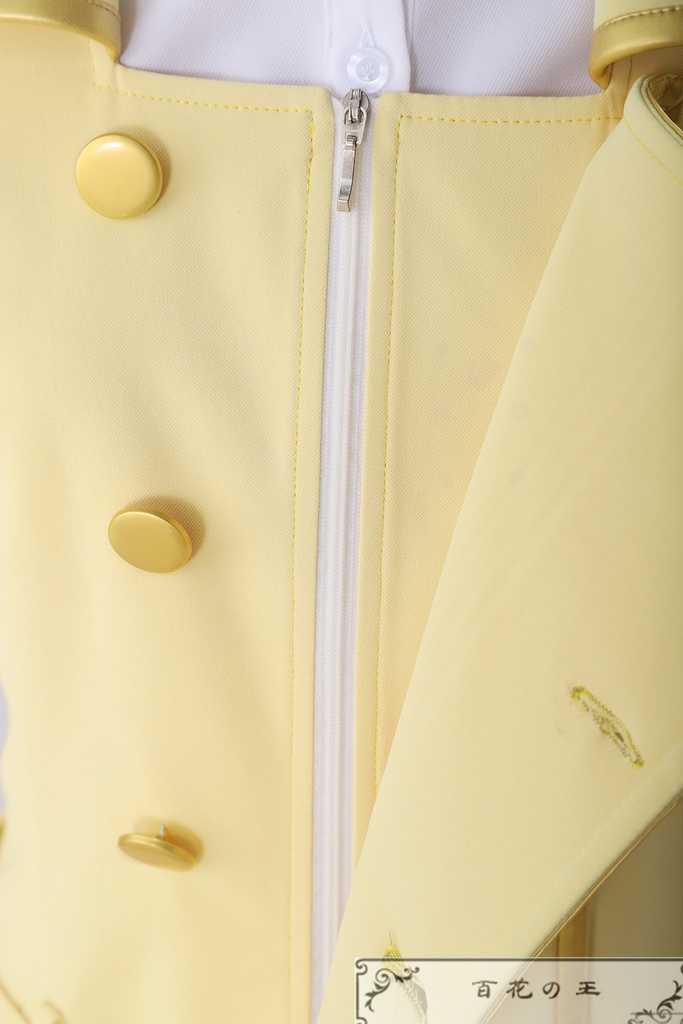 『一部在庫あり』 コードギアス 反逆のルルーシュ アッシュフォード学園女子制服 コスプレ衣装 コスチューム