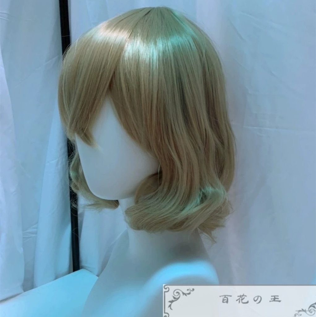 在庫品 セレナ サトシ コスプレ衣装 コスチューム 仮装 变装 子供 /大人サイズ
