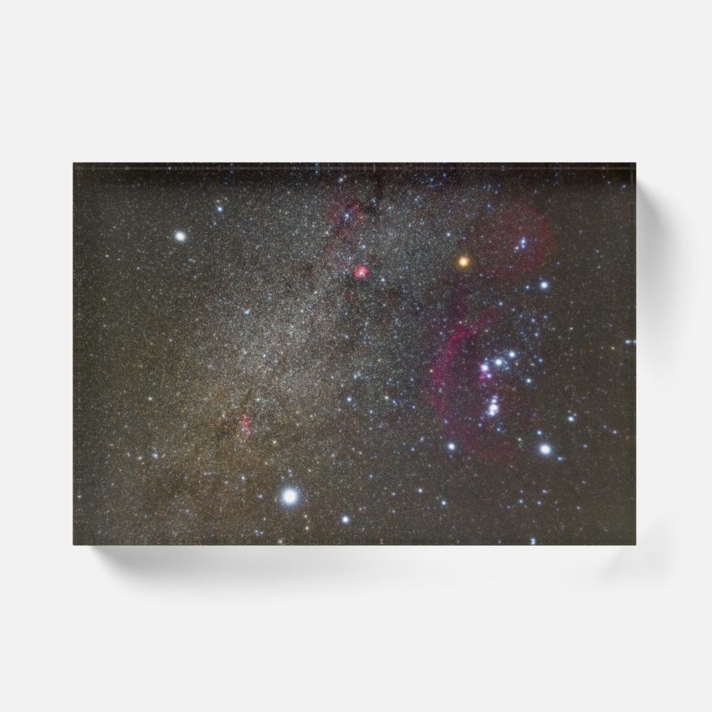 冬の大三角とオリオン座