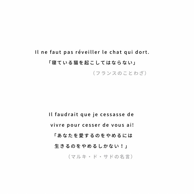 ギンミツネコチャンクリアファイルA5