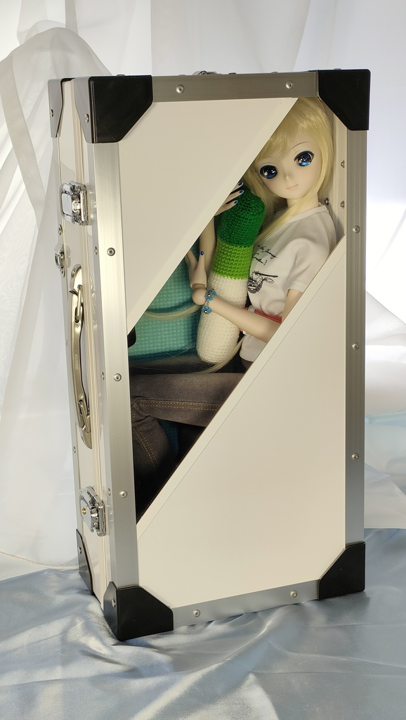 【受注品】ドールさん用ハードケース DDx1W/NW