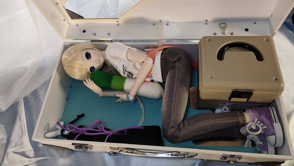 【受注品】ドールさん用ハードケース DDx1W/NW