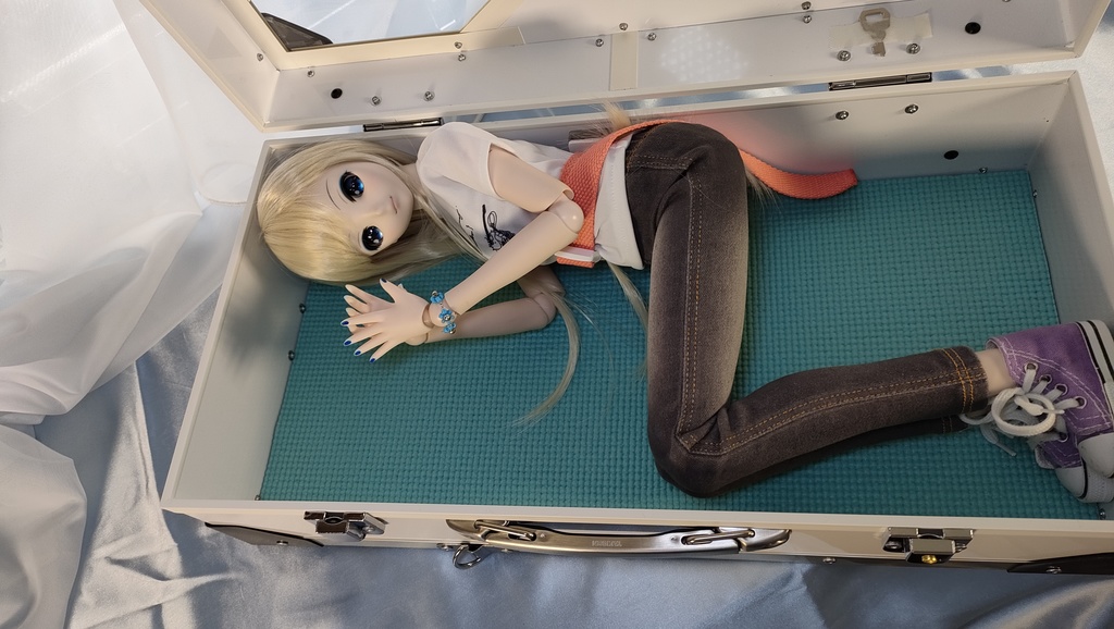 【受注品】ドールさん用ハードケース DDx1W/NW