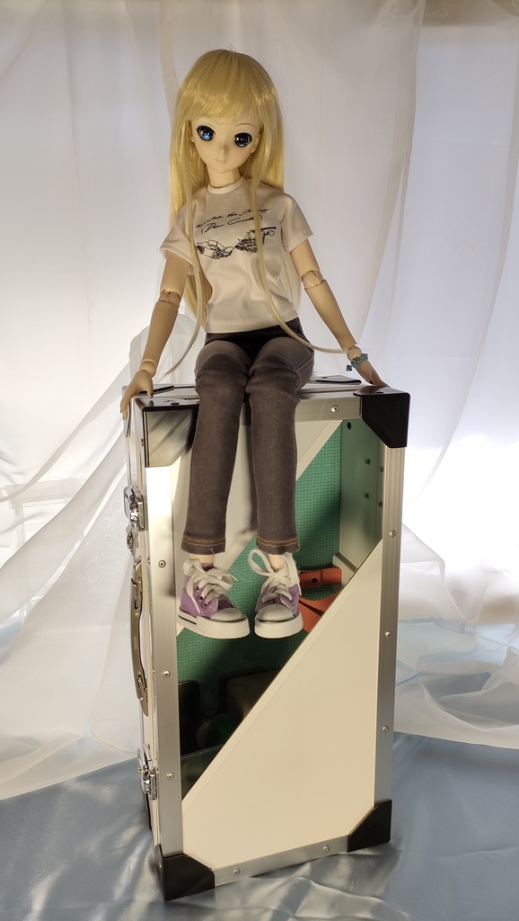 【受注品】ドールさん用ハードケース DDx1W/NW