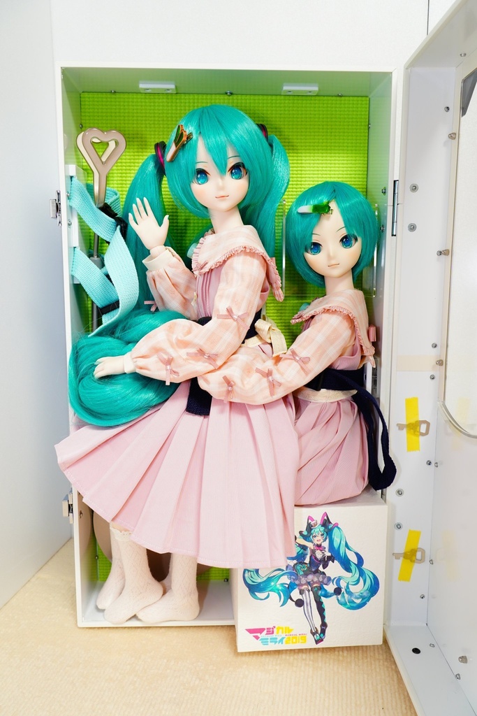 【受注品】DDサイズドールさん2人用ハードケース DDx2W/NW