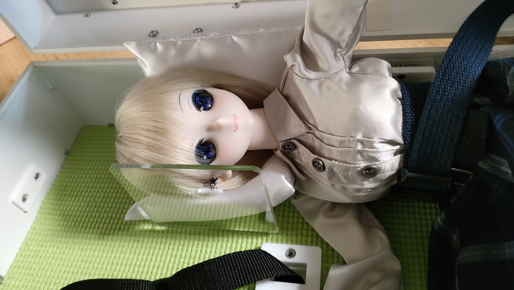 【受注品】DDサイズドールさん2人用ハードケース DDx2W/NW